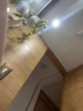 ari sexy1 online show from 12, 5, 2026