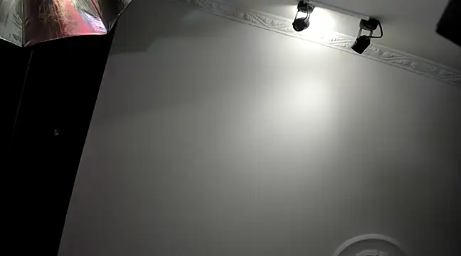 Snapshot of Apotheosis01 chatting on 29, 1, 2025 Apotheosis01 online show from 29, 1, 2025