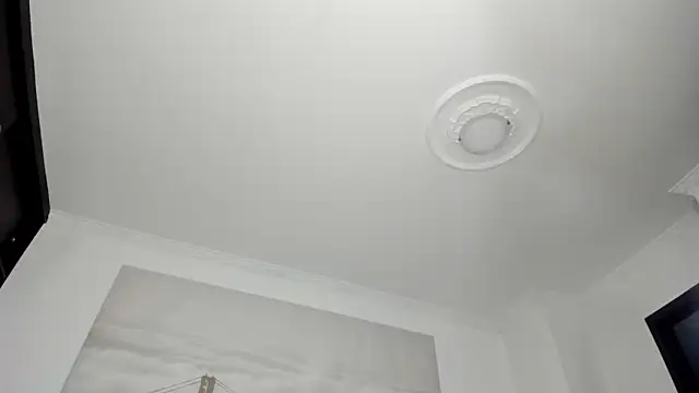 Snapshot of Apotheosis01 chatting on 7, 11, 2025 Apotheosis01 online show from 7, 11, 2025