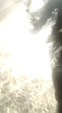 Snapshot of EllaViceX chatting on 10, 12, 2024 EllaViceX online show from 10, 12, 2024