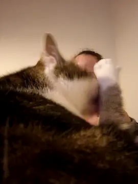 Wisie Cutie online show from 19, 2, 2025