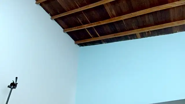 sophia hadid online show from 18, 1, 2025