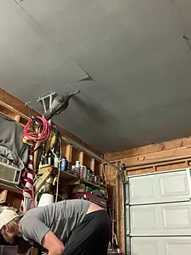 Snapshot of Midwestalpha chatting on 15, 3, 2026 Midwestalpha online show from 15, 3, 2026