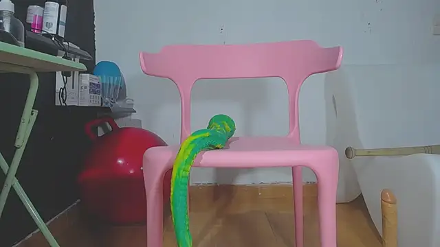 girl squiting online show from 30, 1, 2025