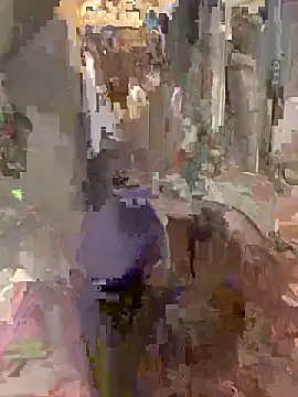 Terrafirma online show from 8, 11, 2025