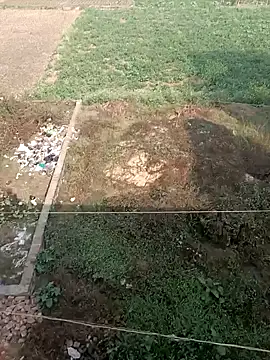 COUPLLE VILLAGE online show from 18, 12, 2024