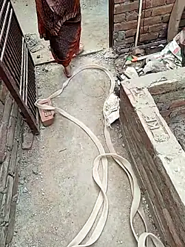 COUPLLE VILLAGE online show from 19, 2, 2026