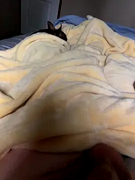 bertram59 online show from 25, 10, 2025