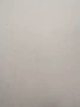 Shuttii 25 online show from 10, 2, 2025