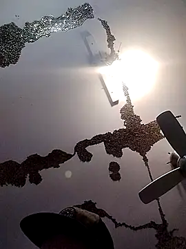 Snapshot of ColdVisitor chatting on 21, 3, 2025 ColdVisitor online show from 21, 3, 2025