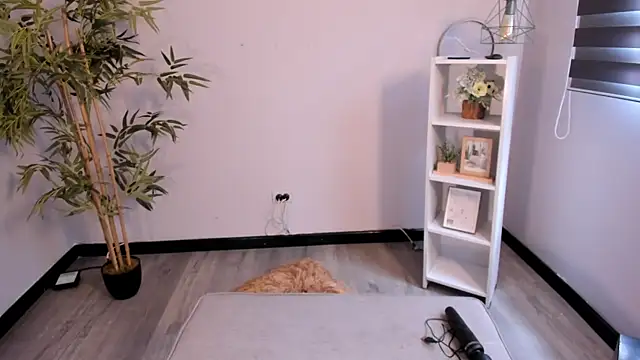  aish a  online show from 22, 9, 2025