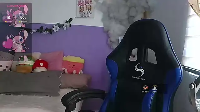 northly online show from 26, 12, 2024