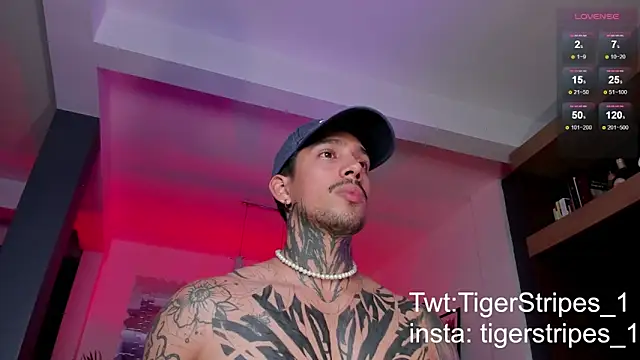 Snapshot of TigerStripes1_ chatting on 3, 3, 2025 TigerStripes1 online show from 3, 3, 2025