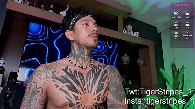 Snapshot of TigerStripes1_ chatting on 9, 3, 2025 TigerStripes1 online show from 9, 3, 2025