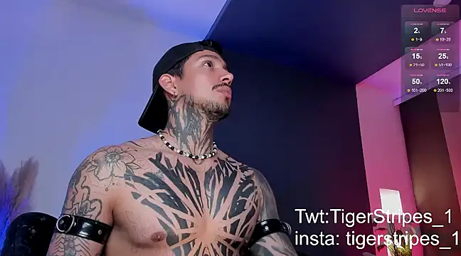 Snapshot of TigerStripes1_ chatting on 16, 3, 2025 TigerStripes1 online show from 16, 3, 2025