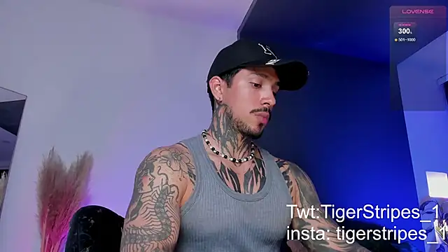 Snapshot of TigerStripes1_ chatting on 19, 3, 2025 TigerStripes1 online show from 19, 3, 2025