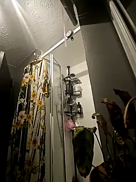 Degusta avo online show from 15, 3, 2025