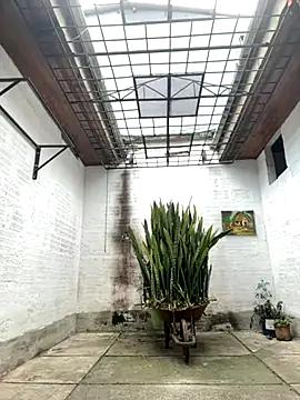 oliver price1 online show from 26, 9, 2025