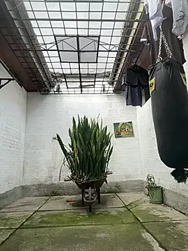 oliver price1 online show from 17, 2, 2026