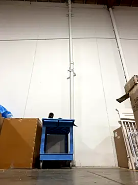 Letgeti online show from 26, 11, 2025